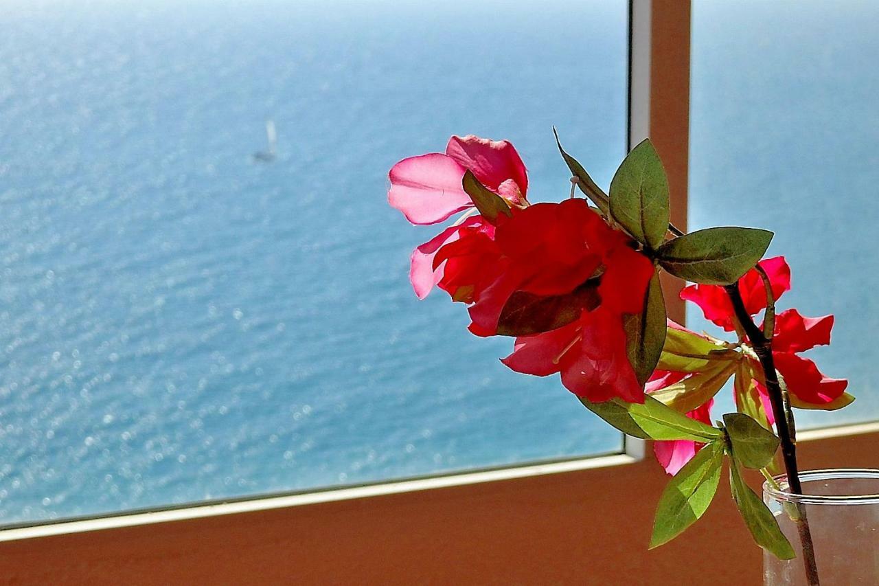 Apartamento Playa Cantara อาลิกันเต ภายนอก รูปภาพ